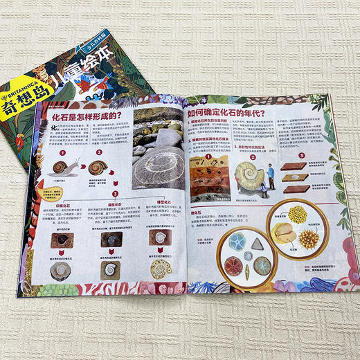 《奇想岛》 4-9岁孩子 「多学科启蒙」天花板！一刊拥有绘本＋故事＋科普！ 商品图2