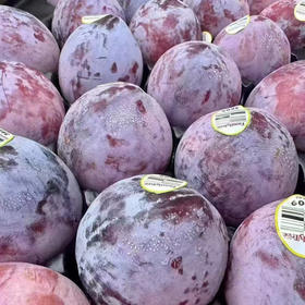 美国恐龙蛋蜜李 500g/份