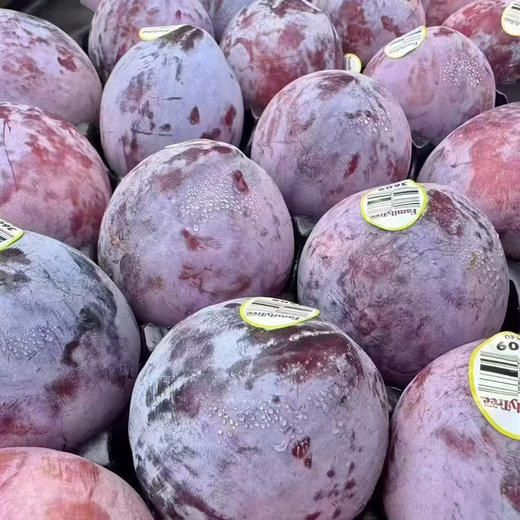 美国恐龙蛋蜜李 500g/份 商品图0