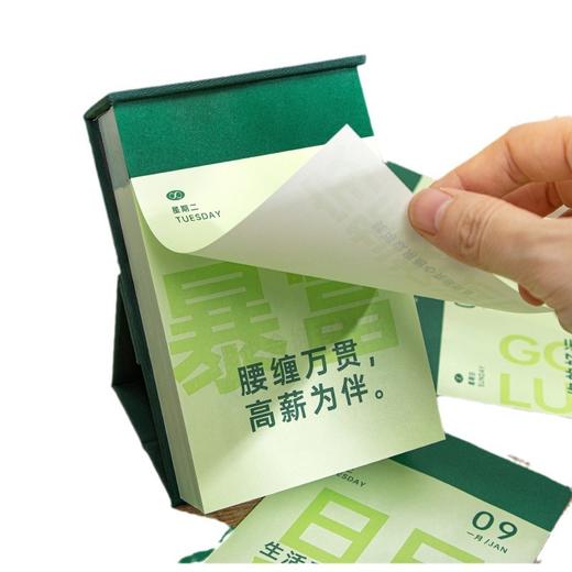 【创意日历，好运吸引力】青禾纪2025年日历ins治愈系，磁吸底座稳固美观，一天一页手撕桌面摆件台历精美包装QQ2026马年新年款 商品图4
