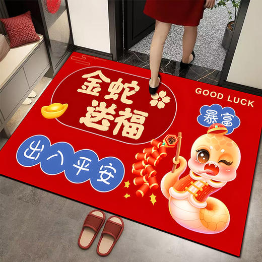 【9.9秒杀❗️马年水晶绒地垫】2025喜庆入户门口，升级加厚锁边塑颗不易移位，迎宾红门垫玄关耐脏脚垫新年大门口地垫QQ粉丝专享 商品图3