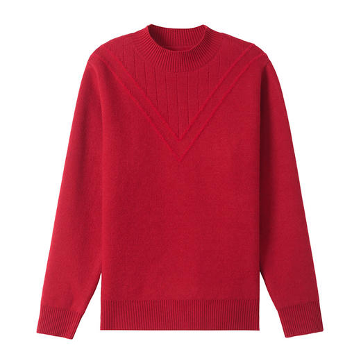 CC-101-8980秋冬新款半高领加绒厚款毛衣针织打底衫休闲通勤时髦上衣 商品图4