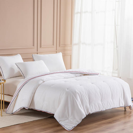 【春上新】10楼 梦洁宝贝 铂翠提花丝绵发热厚被 吊牌价1999-2699元   活动价1099-1399元 商品图0