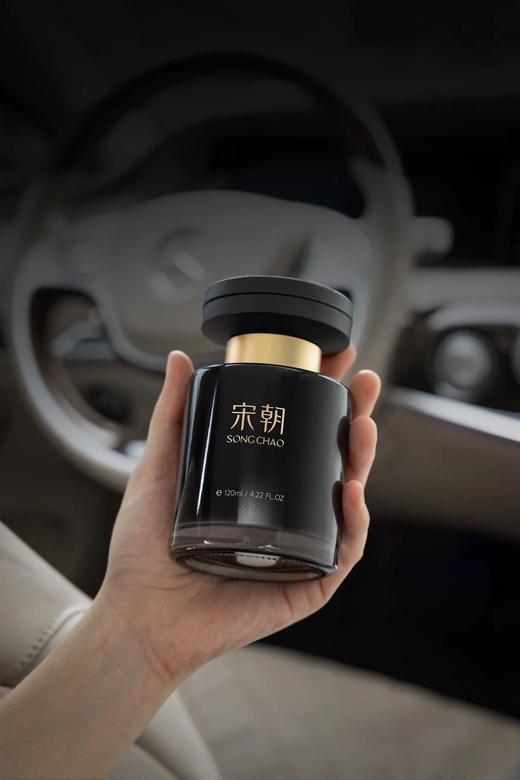 买就赠扩香藤条❗️【宋朝·暗夜黑金车载香薰120ml】4款香型，和五星酒店一样高级的香味✅天然植物萃取精油调香，⁨散香舒缓持久✅环保溶剂，⁥无毒无刺激、‍可降解无污染！ 商品图2