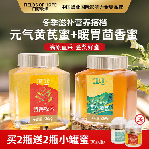 【元气暖胃组合】元气黄芪+暖胃茴香 田野牧蜂天然蜂蜜 金奖蜂蜜自然封盖蜜 稀缺本草纯蜜 高原直采 商品图0