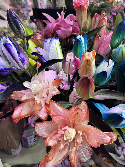 油画重瓣百合，一级品，照片都是现场实拍，巨美，紫色、蓝色、橘色、玫粉色，下单备注颜色，约4头/支，一组两支 商品图2