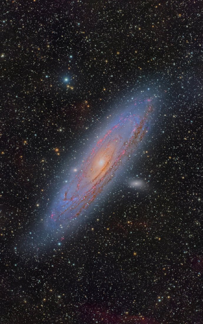 弟子专属全面通关课