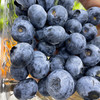 进口蓝莓 盒装125g/盒 商品缩略图1