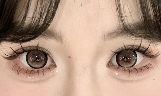 Sondercon半年抛-奶油泰迪 商品图11