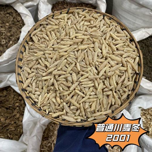 川麦冬  常用规格 川麦冬 特级大颗粒川麦冬 商品图3