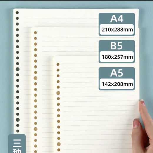 苏铁时光B5活页本替芯活页芯60页/本 商品图1