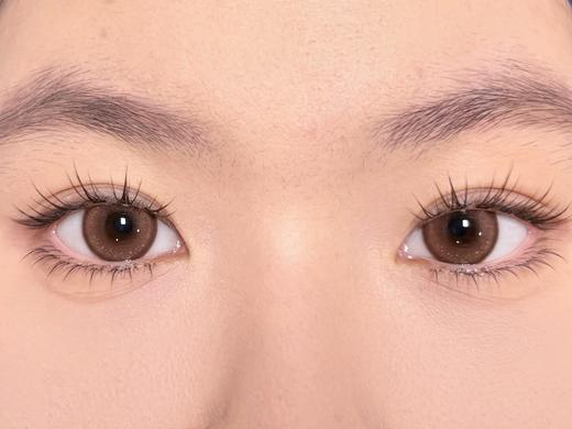 Bebebest品牌日抛线-Fairy hazel 商品图11