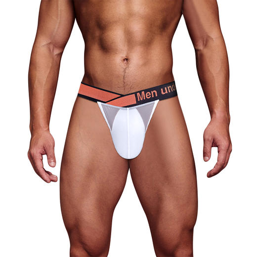 PUMP男士三角内裤 MP2701 商品图2