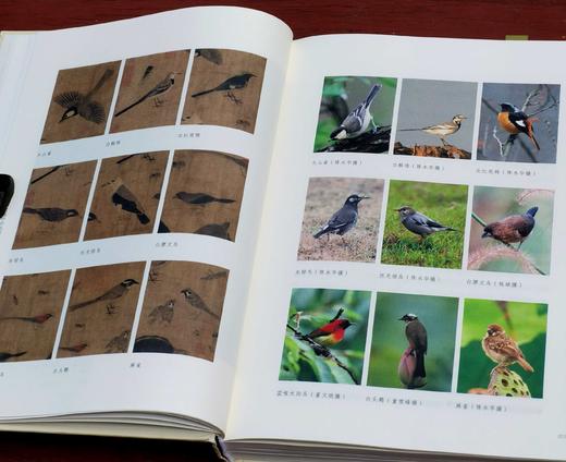 《形理两全：宋画中的鸟类》，签名本，陈水华 著，小16开，精装，308页，浙江古籍出版社2024年2月一版一印。定价138，售价108元。 商品图6