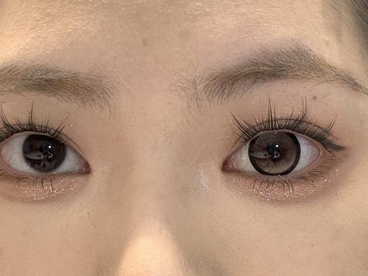 Sondercon半年抛-奶油泰迪 商品图8