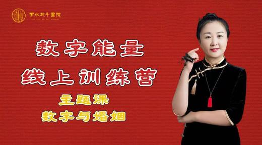 数字能量学婚姻直播11.15 商品图0