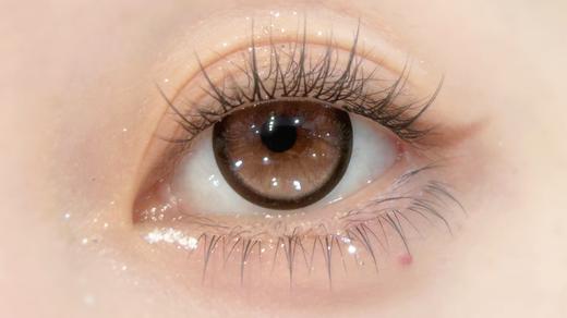 Sondercon半年抛-奶油泰迪 商品图4