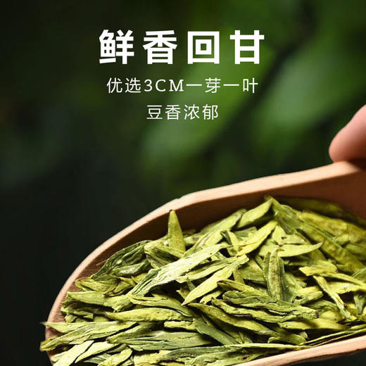 2026新茶• 春贡·明前龙井礼茶 狮峰珍品 大师级好茶150克（3罐*50g） 商品图3
