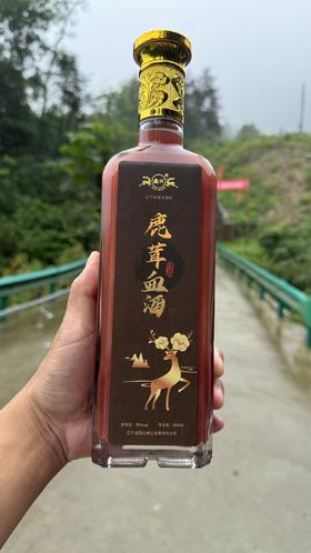 【鹿茸血养生酒  每瓶500ml ——左手寸脉不足，平时懒气少言，提不起精神，无名指和小手指甲没有月牙！仅少量内部供应！】