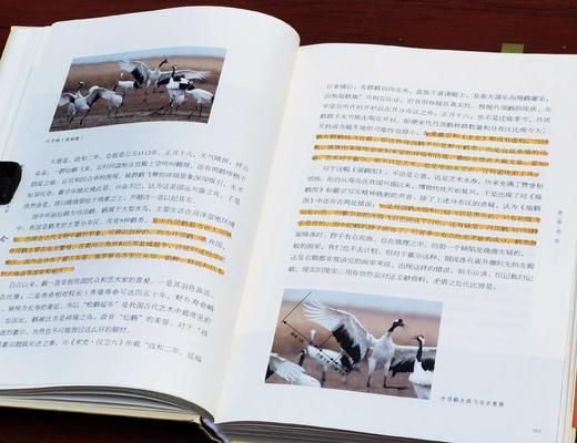 《形理两全：宋画中的鸟类》，签名本，陈水华 著，小16开，精装，308页，浙江古籍出版社2024年2月一版一印。定价138，售价108元。 商品图9