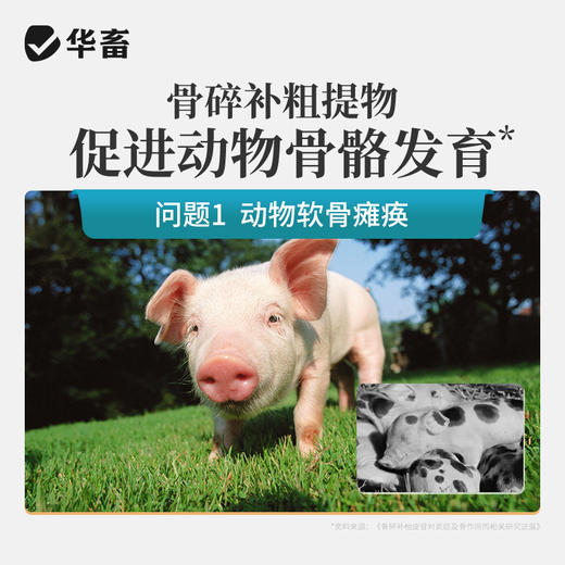 华畜乳钙 优能钙1L 选用有机钙吸收更充分 商品图1