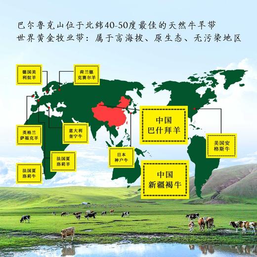 新疆牛/羊肉组合装臻品礼盒 商品图2