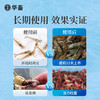 华畜 活力虾 吃得多 长得快 体质健 商品缩略图2