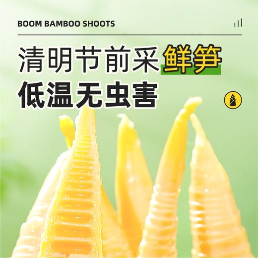 极野 爆汁手剥笋 商品图1