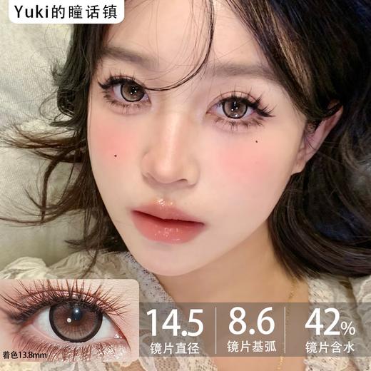 Sondercon半年抛-奶油泰迪 商品图0