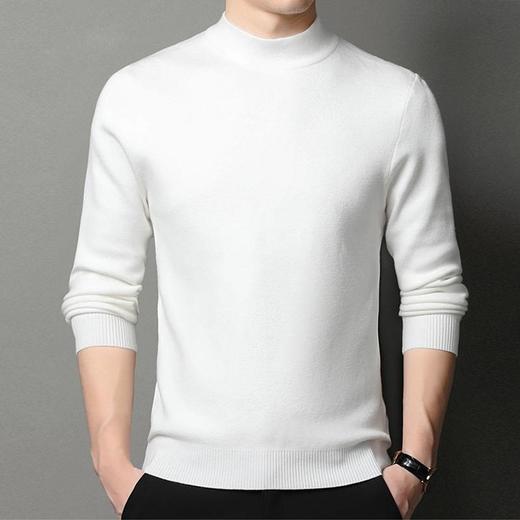 圣得西男装秋季新款百搭半高领套头纯色毛衣2362950928 商品图2