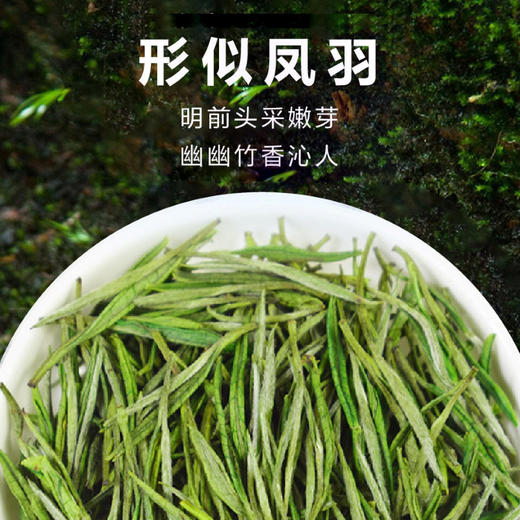 2026新茶 春贡·头采安吉白茶礼茶 茶叶白富美90g（3罐*30g) 商品图4