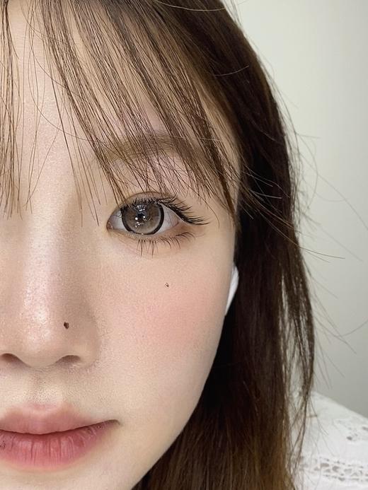 Sondercon半年抛-奶油泰迪 商品图7