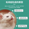 【品牌补贴买三送一】美施美康猫咪营养补充剂 猫咪营养膏猫条 泌尿呵护 美毛化毛 肠道健康 180g/盒 商品缩略图6