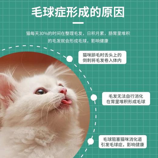 【品牌补贴买三送一】美施美康猫咪营养补充剂 猫咪营养膏猫条 泌尿呵护 美毛化毛 肠道健康 180g/盒 商品图6