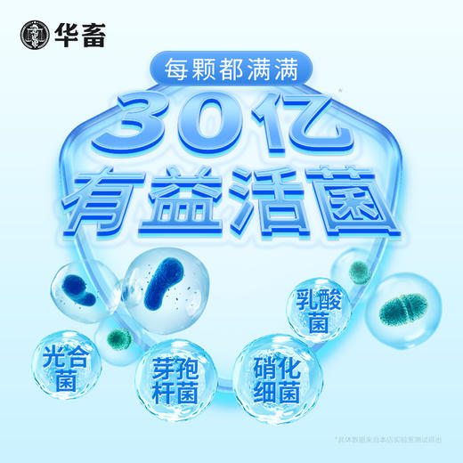 华畜生物底改双效改底王鱼虾蟹塘解毒调水增氧除臭水产养殖净水宝 商品图3