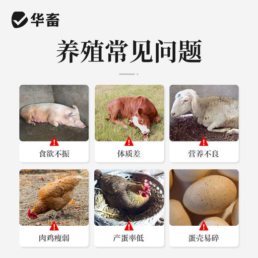 华畜多维小苏打兽用10斤畜禽喂猪牛羊鸭鹅养殖用饲料添加剂 商品图1