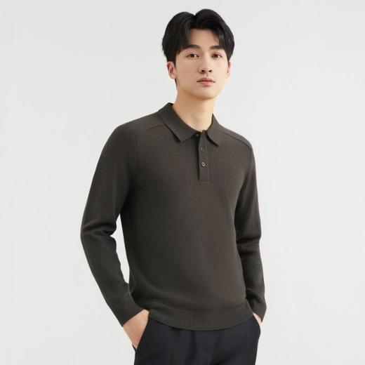 【云雅衫】圣得西男装含桑蚕丝+绵羊毛高弹翻领针织衫2452047317 商品图3