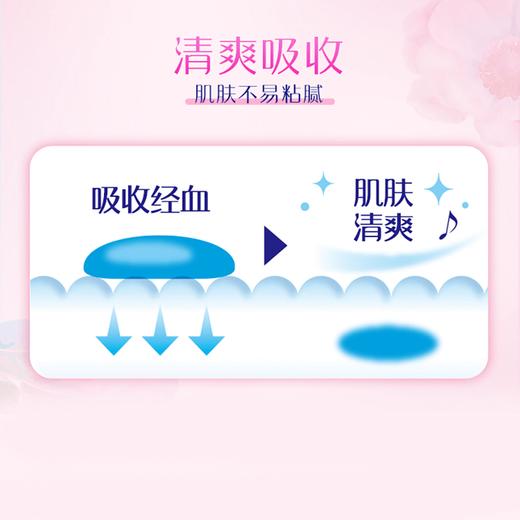 MM 山姆 苏菲 日本进口 温柔肌极薄日用迷你巾（无护翼）17.5cm 34片*3包 商品图3