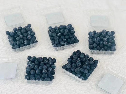 云南蓝莓15mm+，硬度高，爽脆，味道浓郁！ 商品图1