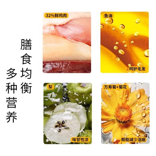 碧净雪狗粮2包试吃装   每包50g  为了保证活动公平，每人限参加一次 同个ip/同个地址/相近地址/虚构收货信息/多账号购买等批量异常下单，店铺有权对异常订单不发货且取消活动资格 商品图1