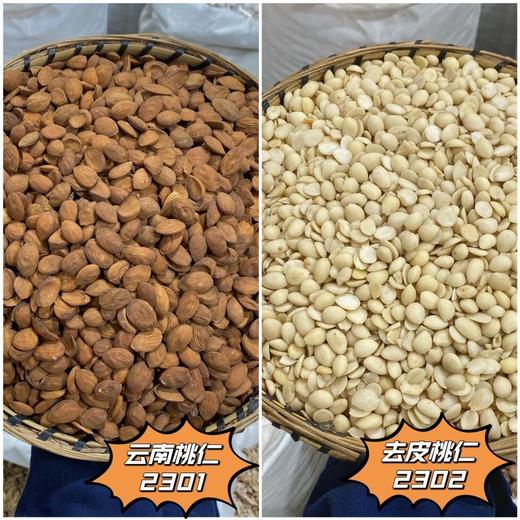云南桃仁 常用规格 云南桃仁  去皮 带皮  山桃仁 商品图0