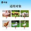 华畜多维小苏打兽用10斤畜禽喂猪牛羊鸭鹅养殖用饲料添加剂 商品缩略图5