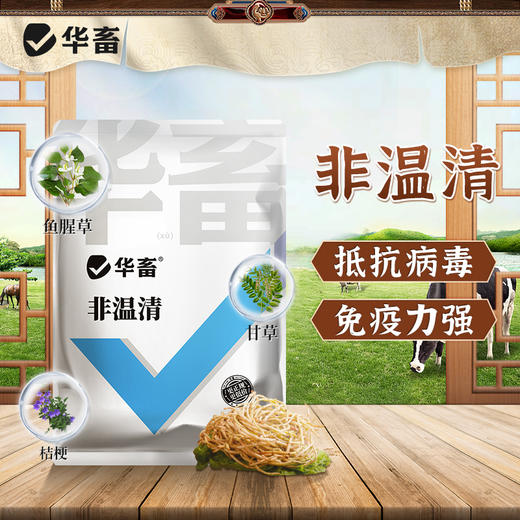 华畜非温清猪圆环蓝耳抵抗病毒猪瘟母猪保健用清瘟增强免疫添加剂 商品图0