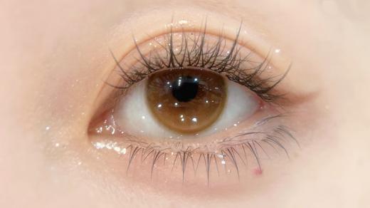 Sondercon半年抛-白桃奶杏 商品图13