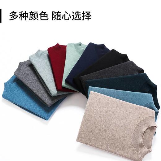 【100%绵羊毛】圣得西男装加厚保暖半高领羊毛衫2362950810 商品图3