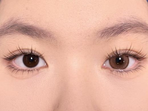 Bebebest品牌日抛线-Fairy hazel 商品图10