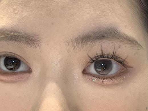 Sondercon半年抛-粉雾郁金 商品图4