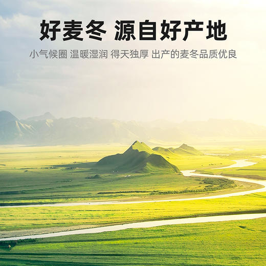 【杞里香麦冬茶四川原产麦冬250g】麦冬煲粥泡茶泡水可搭配枸杞黄芪
四川麦冬 粒大饱满 根根有芯 商品图4