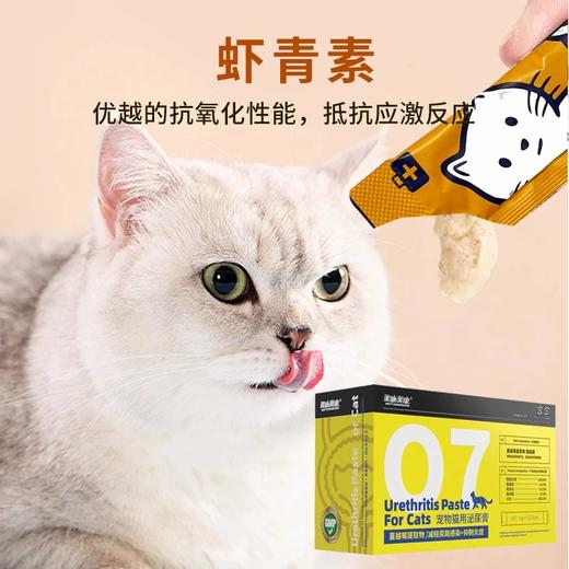 【品牌补贴买三送一】美施美康猫咪营养补充剂 猫咪营养膏猫条 泌尿呵护 美毛化毛 肠道健康 180g/盒 商品图8