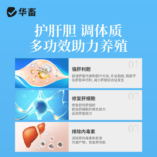 华畜肝胆利康200g 保肝利胆清除肝毒 促食促长抗应激 商品图4